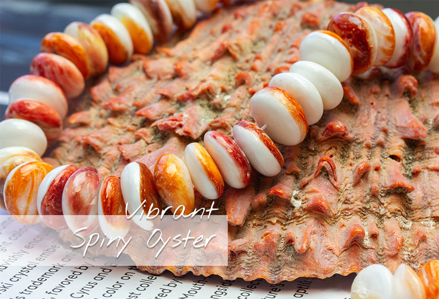 Mother of pearl, abalone, spiny oyster, wampum, conch — the shells by name