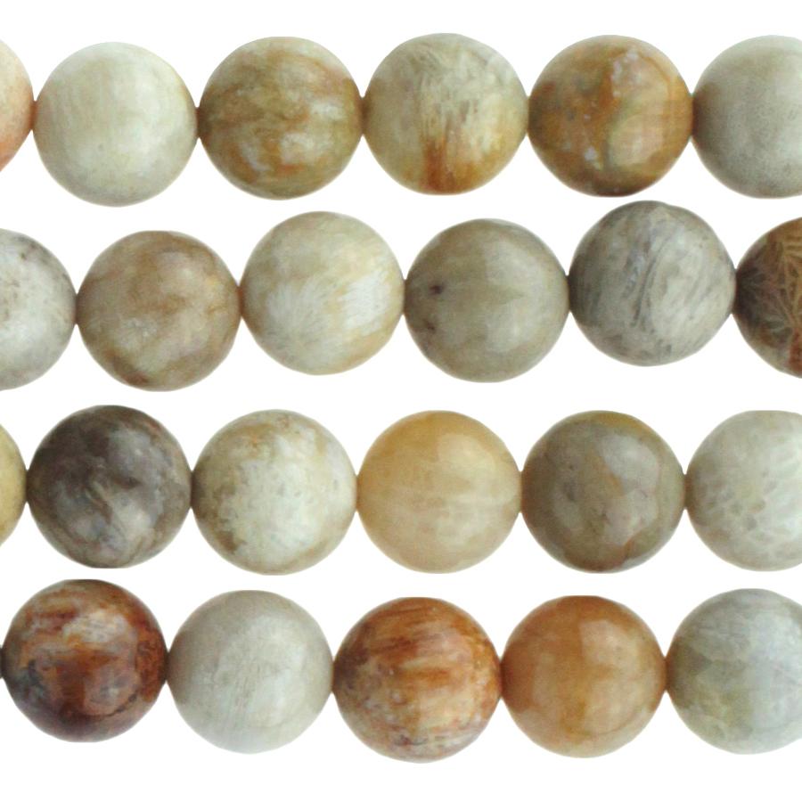 Fossil Coral 8mm Round 8-Inch