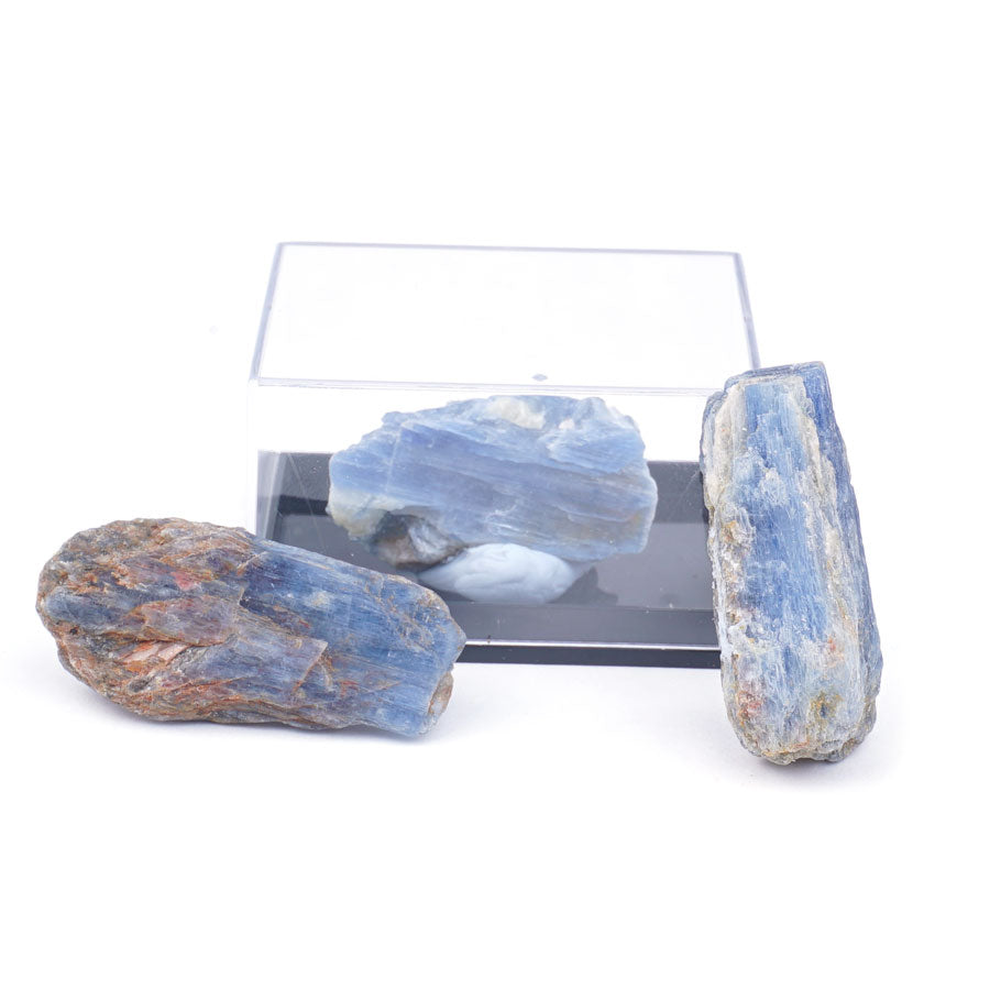 Blue Kyanite 30-60mm Specimen Terrarium - DS ROCK SHOP
