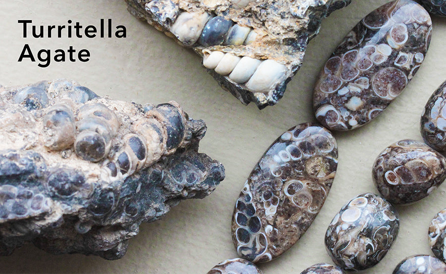 Turritella Agate - That's Not My Name!