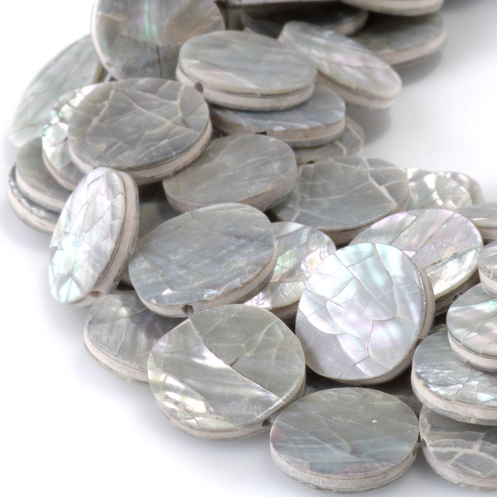 Abalone Shell from the Philippines 16mm Coin Beads - 16-Inch