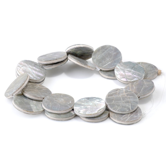 Abalone Shell from the Philippines 20mm Coin Beads - 16-Inch