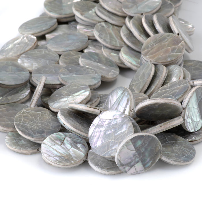 Abalone Shell from the Philippines 20mm Coin Beads - 16-Inch