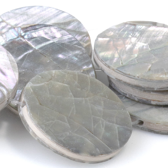 Abalone Shell from the Philippines 20mm Coin Beads - 16-Inch