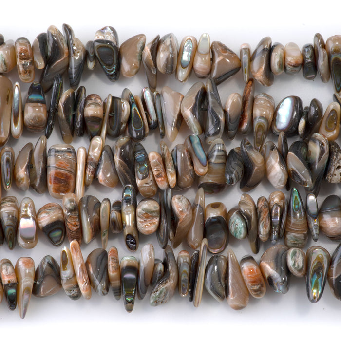 Abalone Shell 5-10 Chip Bead - 15-16 Inch