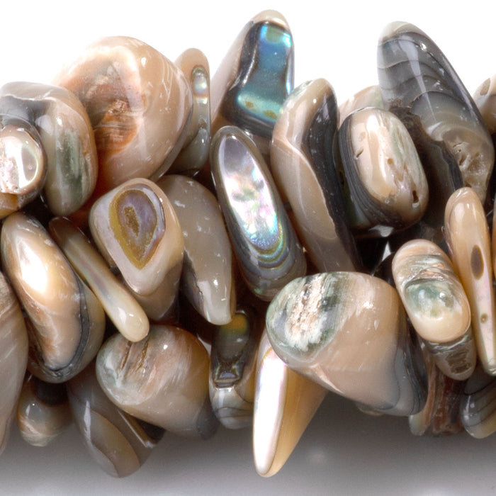 Abalone Shell 5-10 Chip Bead - 15-16 Inch