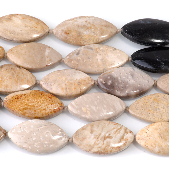 Petrified Palm Root 14x25-16x30mm Marquise Beads - 15-16 Inch