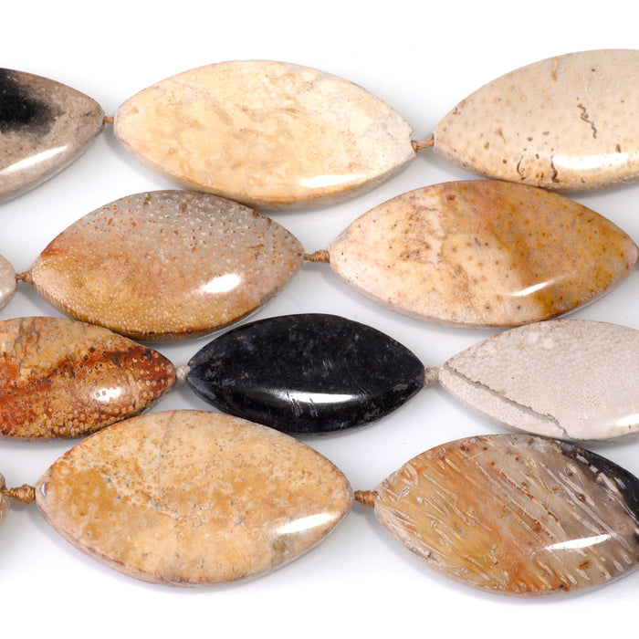 Petrified Palm Root 18x30-25x40mm Marquise Beads - 15-16 Inch