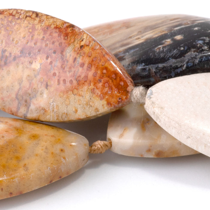Petrified Palm Root 18x30-25x40mm Marquise Beads - 15-16 Inch