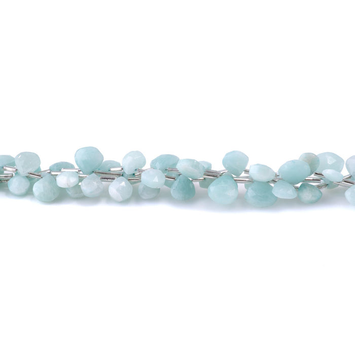 Amazonite 8-9mm Heart - 8 Inch