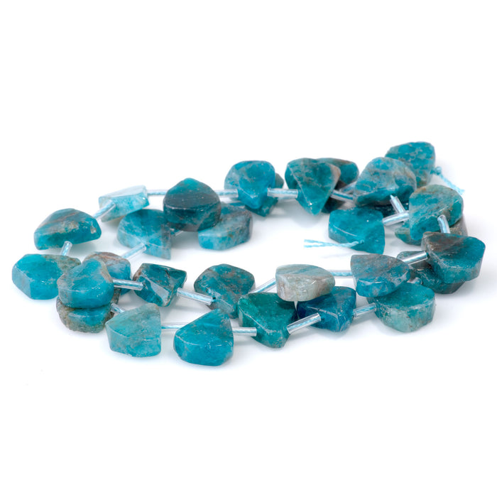 Blue Apatite 9x13-12x16mm Top Drill Irregular Flat Drop - 15-16 Inch
