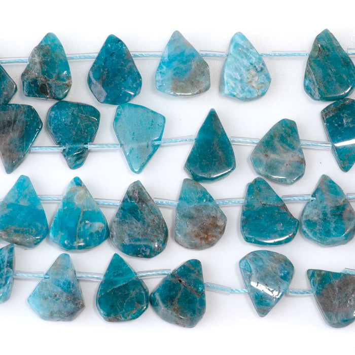 Blue Apatite 9x13-12x16mm Top Drill Irregular Flat Drop - 15-16 Inch