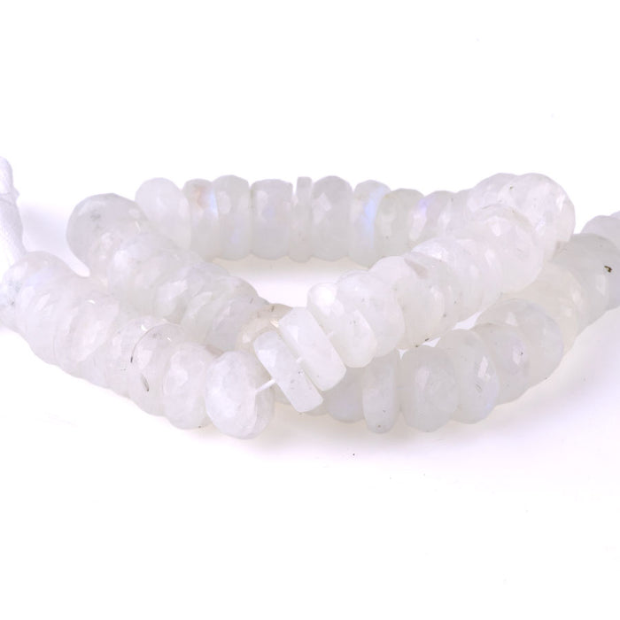 Blue Moonstone 12mm Rondelle Faceted 8 - inch