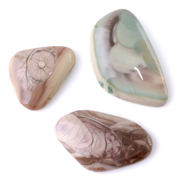 Royal Imperial Jasper 20-24x23-32mm AAA Grade Medium Free Form Cabochon