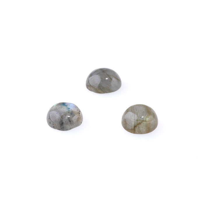 Labradorite 10mm A Grade Coin Cabochon
