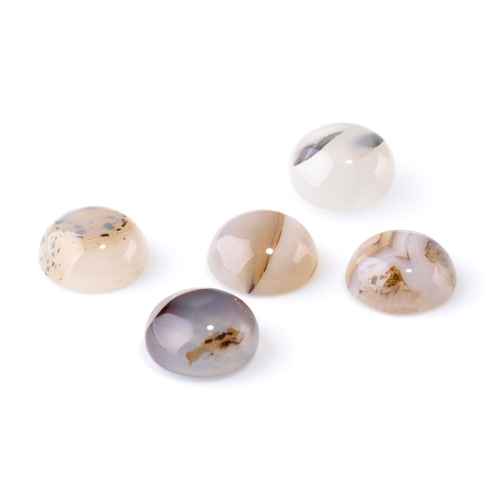 Montana Moss Agate 15mm A Grade Coin Cabochon