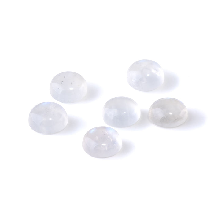 Moonstone 12mm AAA Grade Coin Cabochon