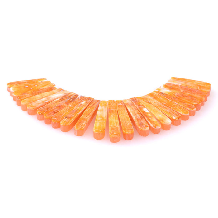 Spiney Oyster Orange 5X19-30mm Stick Collar