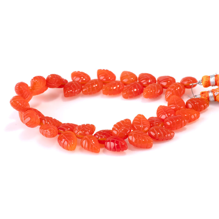 Carnelian 8x11mm Leaf - 8 Inch