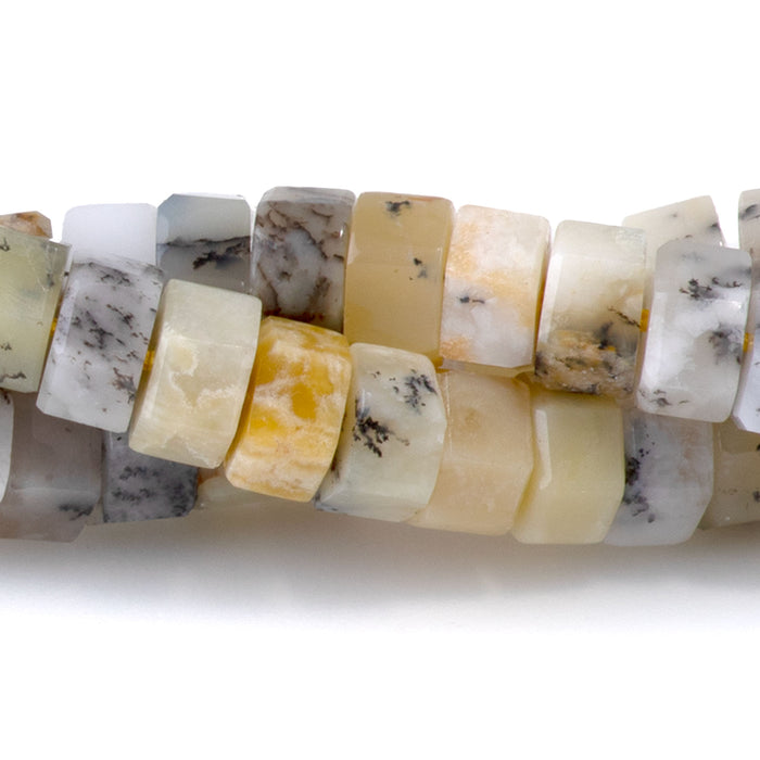 Dendritic Opal 6mm Hexagon - 15-16 Inch