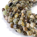 This is a Dakota Stones 8mm Green Garnet Gemstone strand with star cut faceted coin beads in 15-16 inch strand.