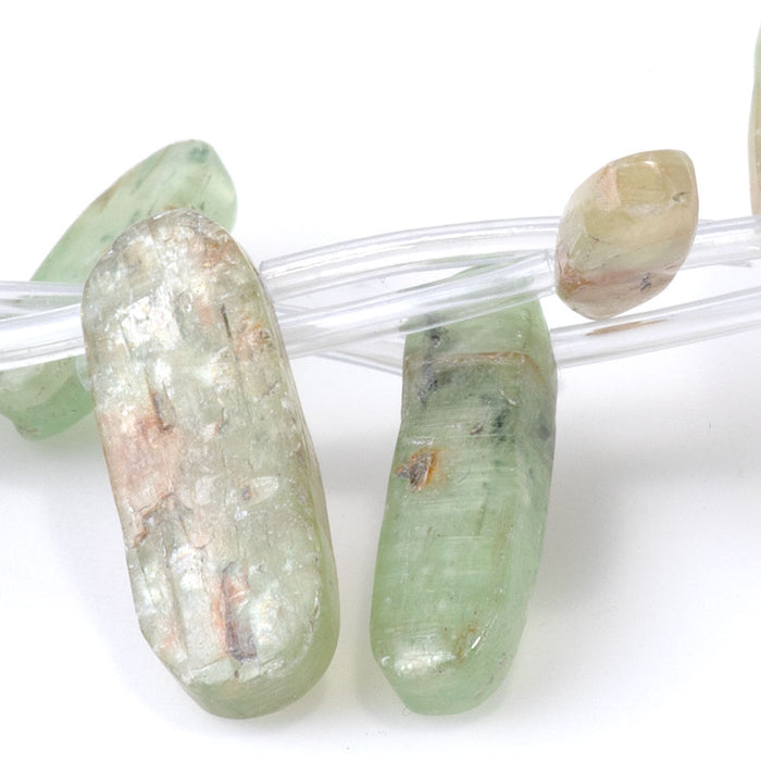 Green Kyanite 5-10x22-30mm Teeth - 15-16 Inch