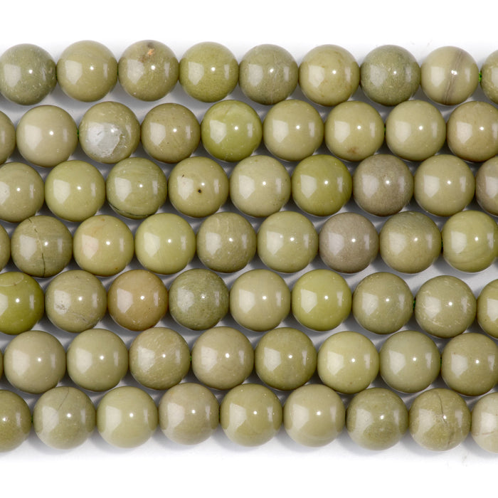 Green Imperial Jasper 8mm Round - 15-16 Inch