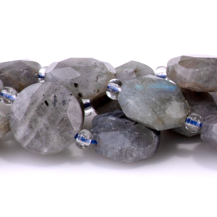 Labradorite 12mm Star Cut Coin - 15-16 Inch