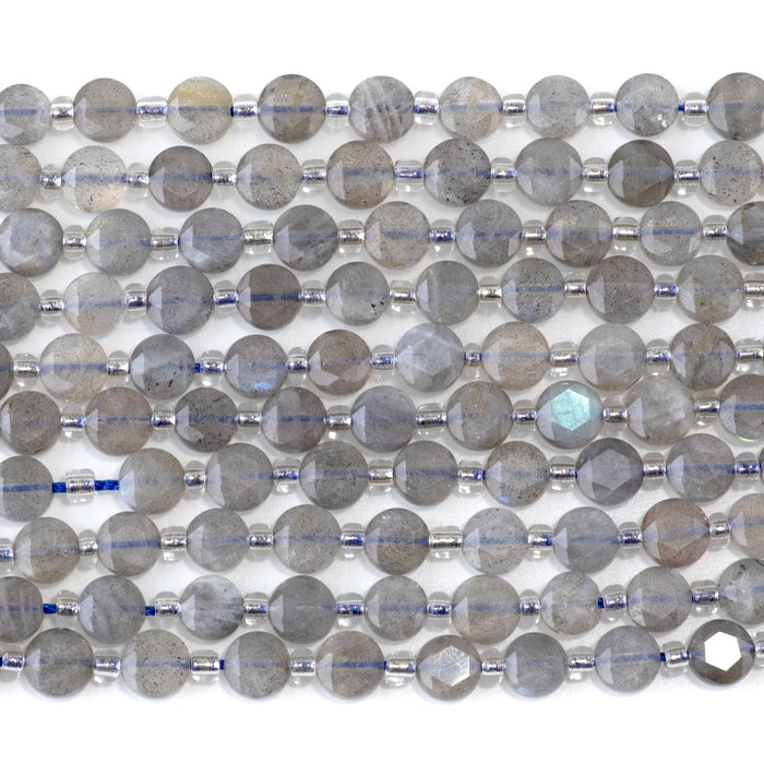 Labradorite 6mm Star Cut Coin A Grade - 15-16 Inch