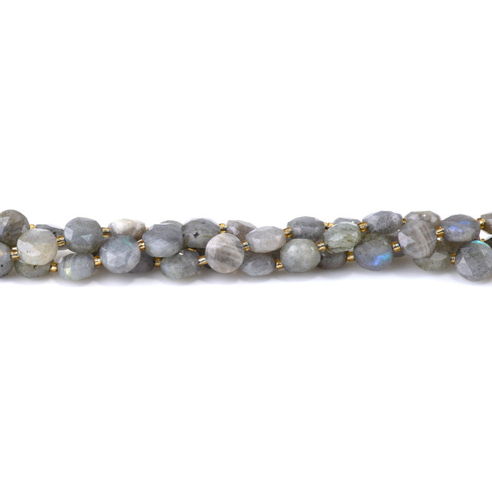 Labradorite 8mm Star Cut Coin A Grade - 15-16 Inch