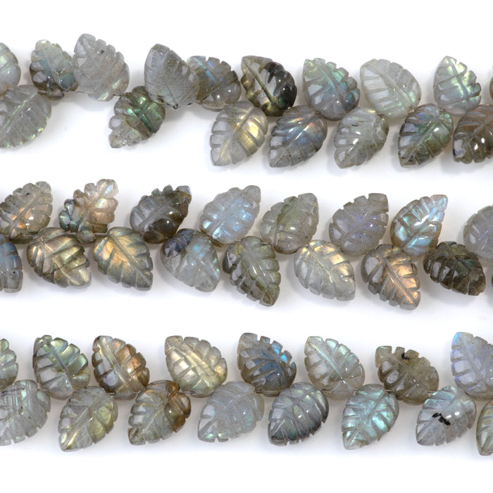 Labradorite 8x11mm Leaf - 8 Inch