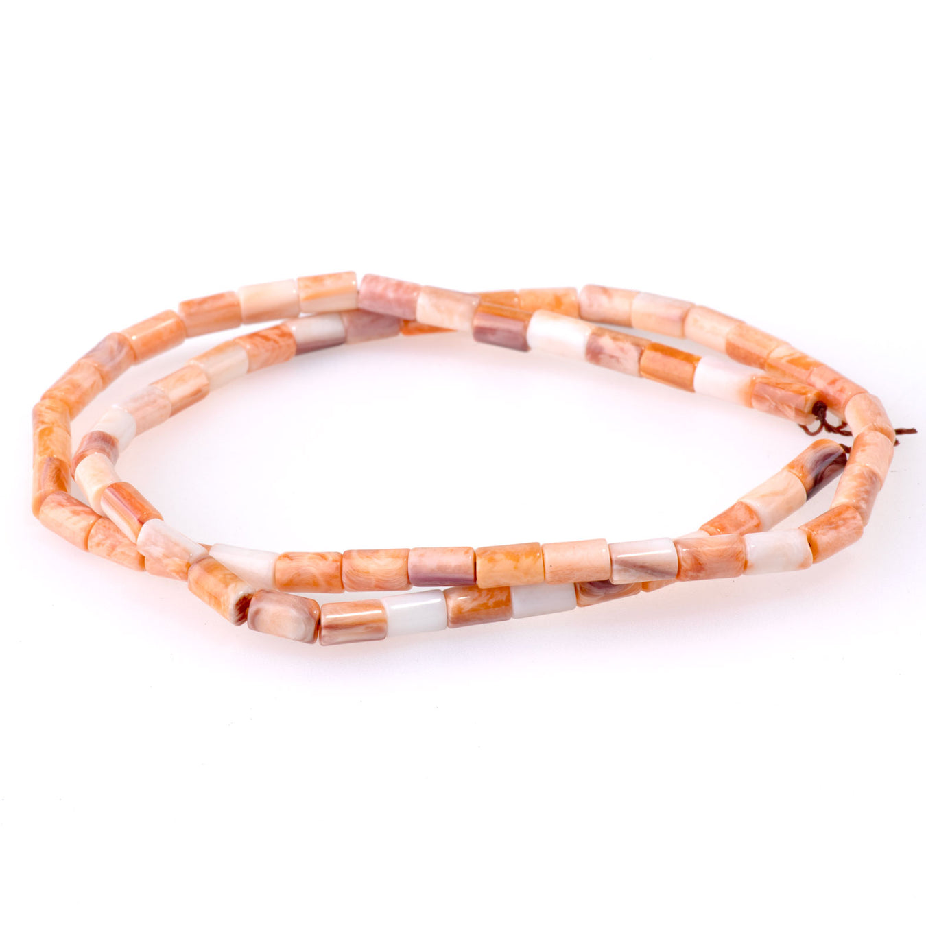 Lion's Paw Natural Beads