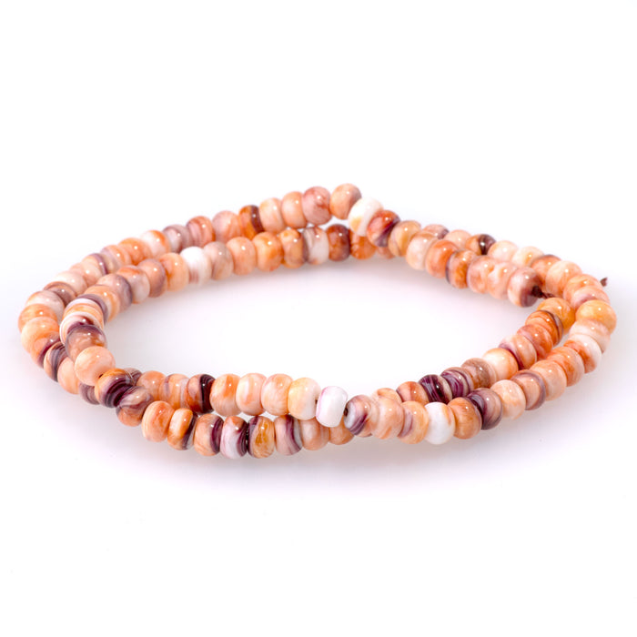 Lions Paw 6mm Rondelle - 15-16 Inch