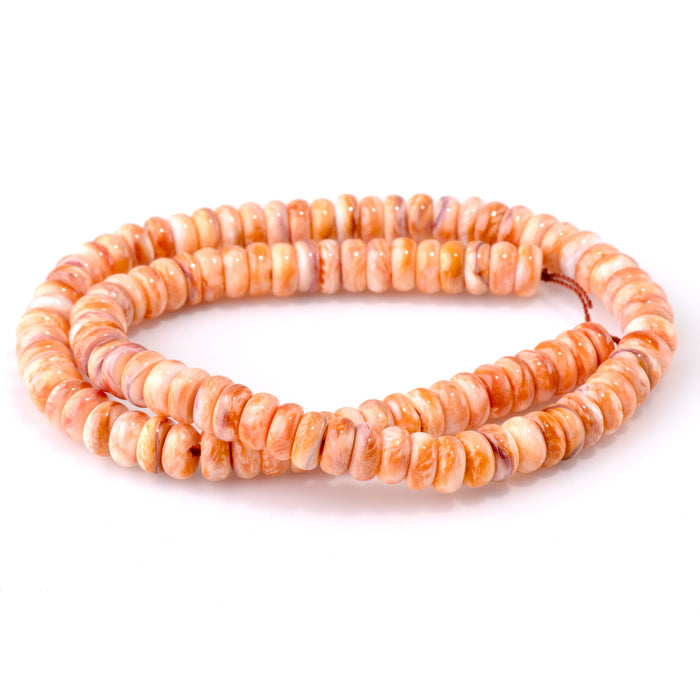 Lions Paw 8mm Rondelle - 15-16 Inch