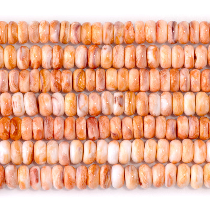 Lions Paw 8mm Rondelle - 15-16 Inch