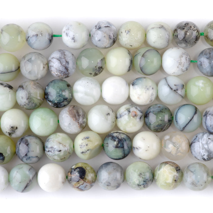 Madagascar Dendiritc Green Opal 10mm Round A Grade - 15-16 Inch
