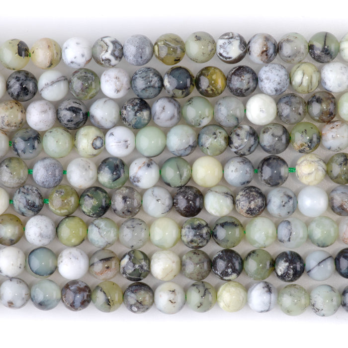 Madagascar Dendiritc Green Opal 6mm Round A Grade - 15-16 Inch