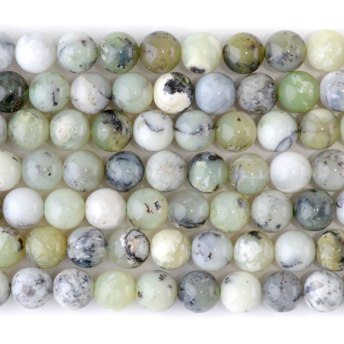 Madagascar Dendiritc Green Opal 8mm Round A Grade - 15-16 Inch
