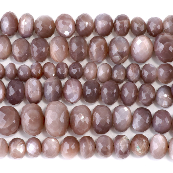 Chocolate Moonstone 4x8-12x18mm Graduated Faceted Rondelle - 15-16 Inch