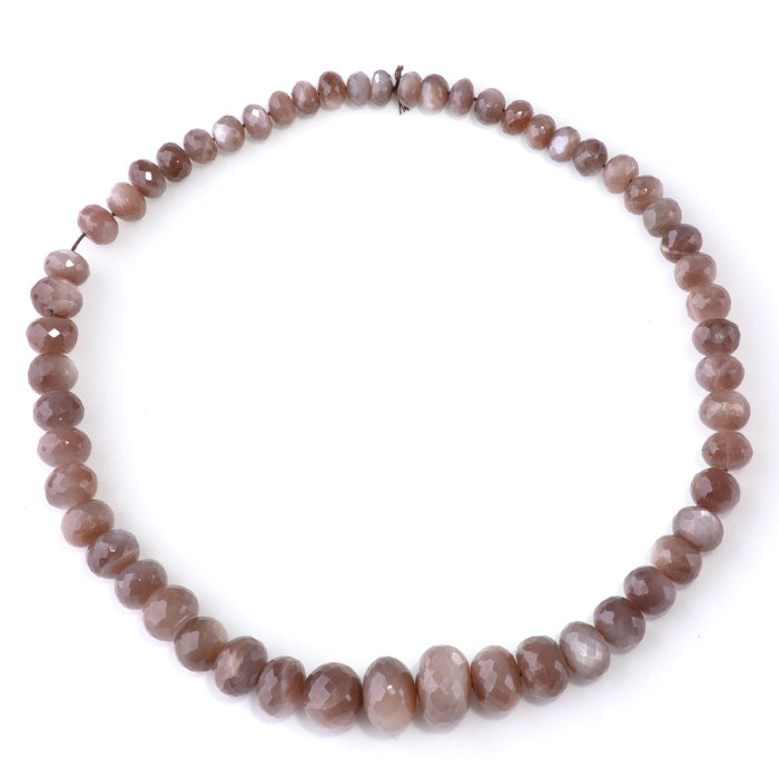 Chocolate Moonstone 4x8-12x18mm Graduated Faceted Rondelle - 15-16 Inch