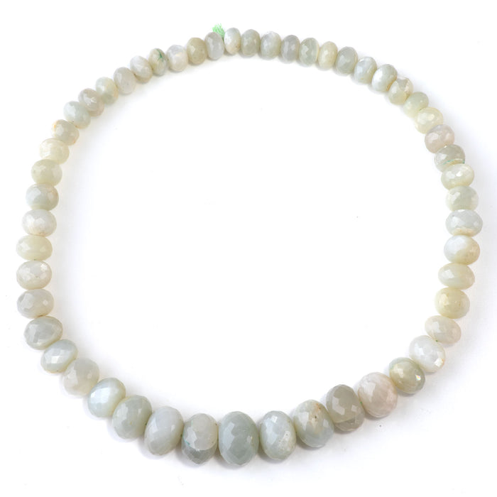 Green Moonstone 5x8-13x18mm Graduated Faceted Rondelle - 15-16 Inch