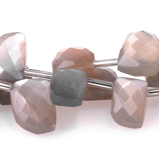 This is a Dakota Stones 8x13-12x18mm Moonstone Teeth Gemstone strand with faceted irregular beads in 8 inch strand.