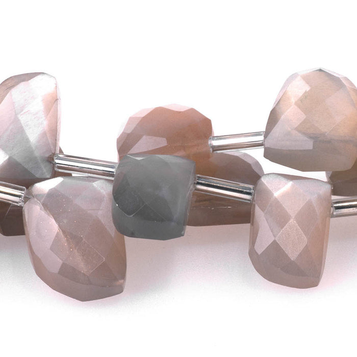 Moonstone 8x13-12x18mm Faceted Irregular Teeth - 8 Inch