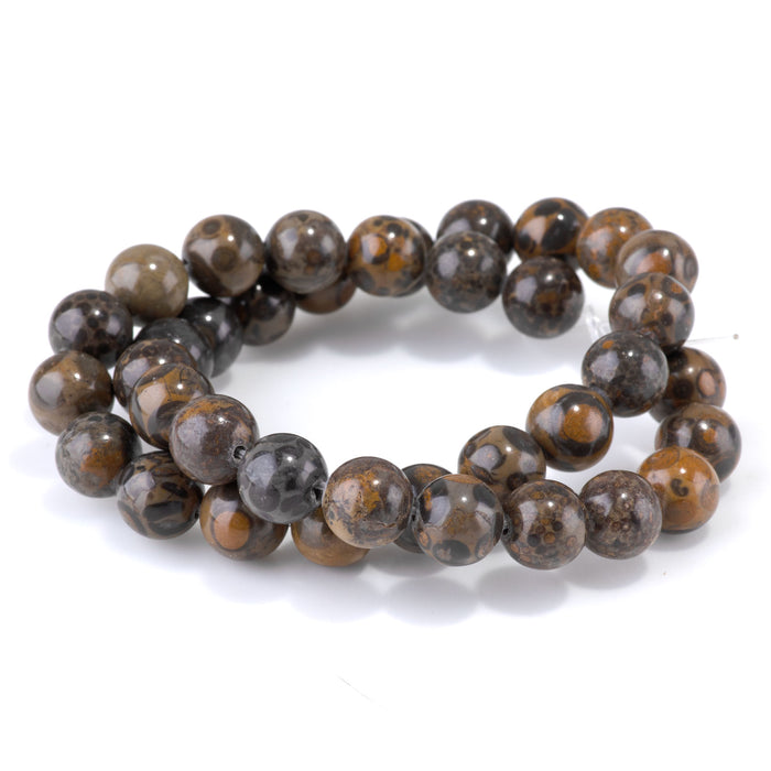 Orbicular Rhyolite 10mm Round - 15-16 Inch