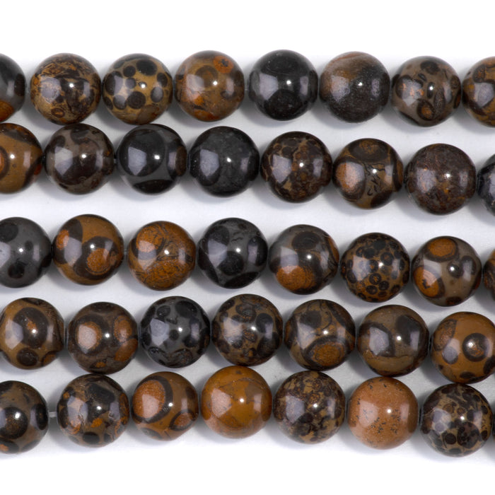 Orbicular Rhyolite 10mm Round - 15-16 Inch