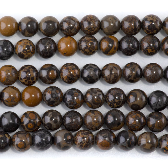 Orbicular Rhyolite 8mm Round - 15-16 Inch