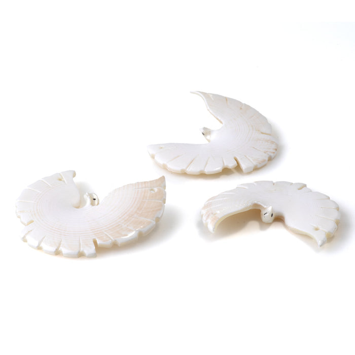 Shell 40-50mm Matte White Carved Bird Pendant