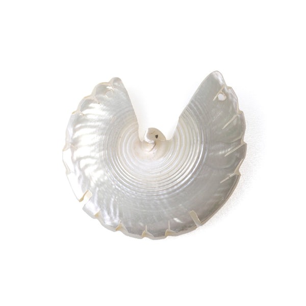 Shell 45-50mm White Carved Bird Pendant