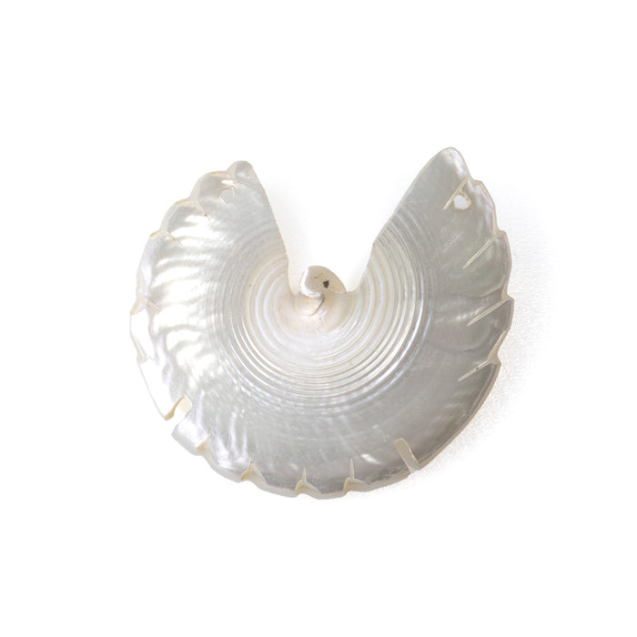 Shell 45-50mm White Carved Bird Pendant