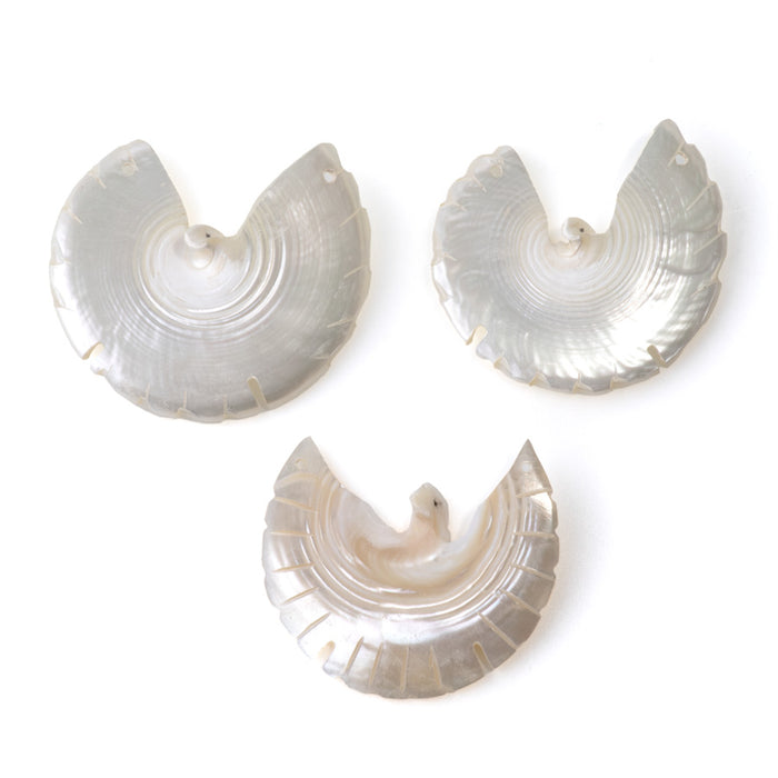Shell 45-50mm White Carved Bird Pendant